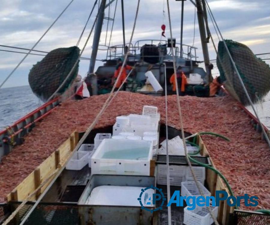 Asignan 3.500 toneladas extra de langostinos a barcos bonaerenses