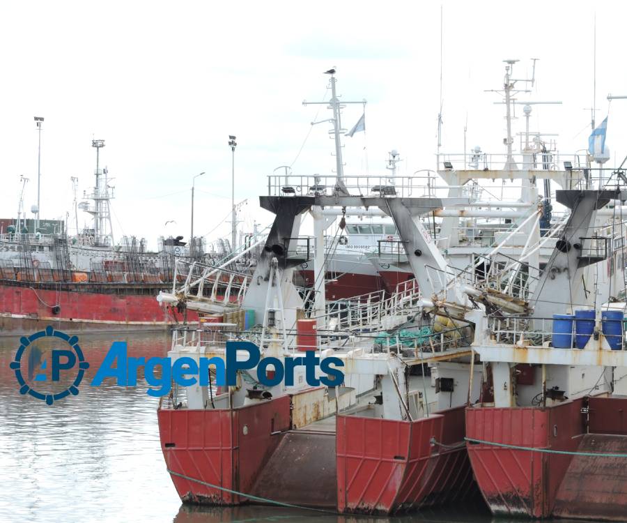 Ley de Pesca: fuerte rechazo de la Cámara de la Industria Naval a la nueva versión de cambio