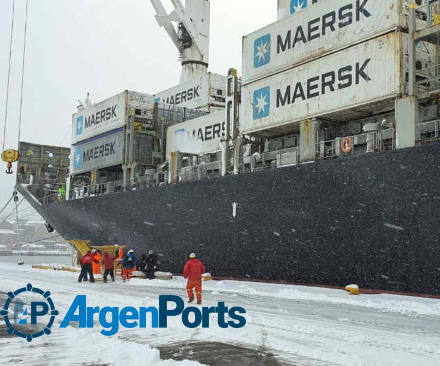 Acciones para recuperar el cabotaje de contenedores en puertos patagónicos